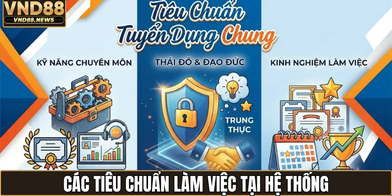 Tuyển dụng VND88 3 Các tiêu chuẩn làm việc tại hệ thống