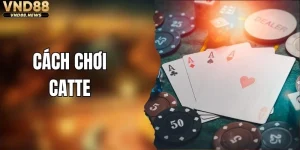 Cách Chơi Catte - Bí Quyết Nhập Cuộc Không Bị Bỡ Ngỡ