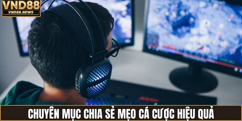 Chia sẻ những kinh nghiệm chơi cá cược hiệu quả