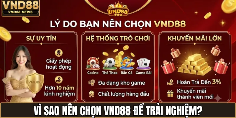 VND88 Là Gì? Đánh Giá Chi Tiết Về Sân Chơi Giải Trí Này 1 Giới thiệu VND88 là gì?