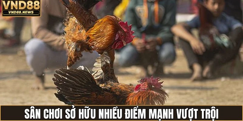 Hệ thống đá gà sở hữu nhiều điểm mạnh vượt trội