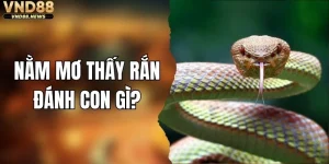 Nằm Mơ Thấy Rắn Đánh Con Gì? Cập Nhật Luận Giải Mới Nhất