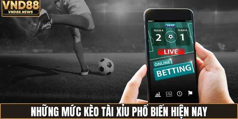 Kèo Tài Xỉu - Khám Phá Sức Hút Của Mức Cược Phổ Biến 2 Những mức kèo tài xỉu phổ biến hiện nay