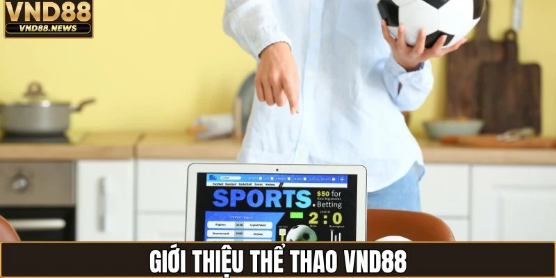 Thể thao VND88 1 Thể thao VND88 uy tín số 1 Việt Nam