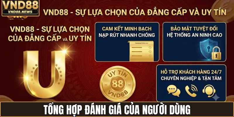 Đánh Giá VND88 - Phân Tích Khách Quan Về Chất Lượng 2 Tổng hợp đánh giá của người dùng